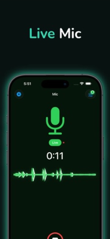 Mic to Speaker screenshot 1
